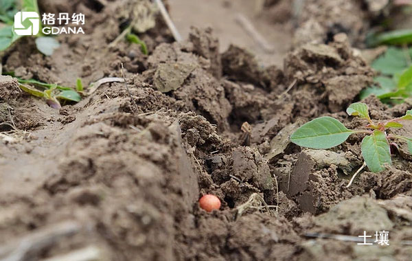 實驗陶瓷加熱板不同酸量對土壤金屬分析影響的重要性