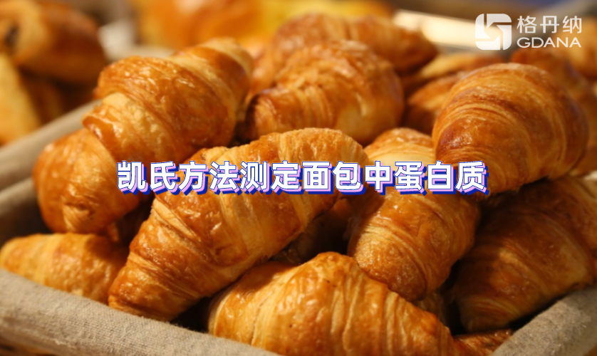 凱氏方法測定面包中蛋白質(zhì)