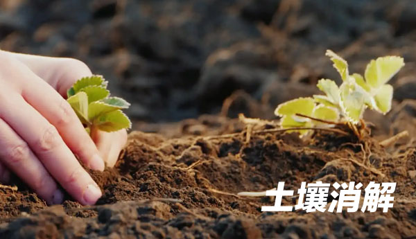 G8全自動(dòng)石墨消解儀消解土壤鉛、鎘元素實(shí)例