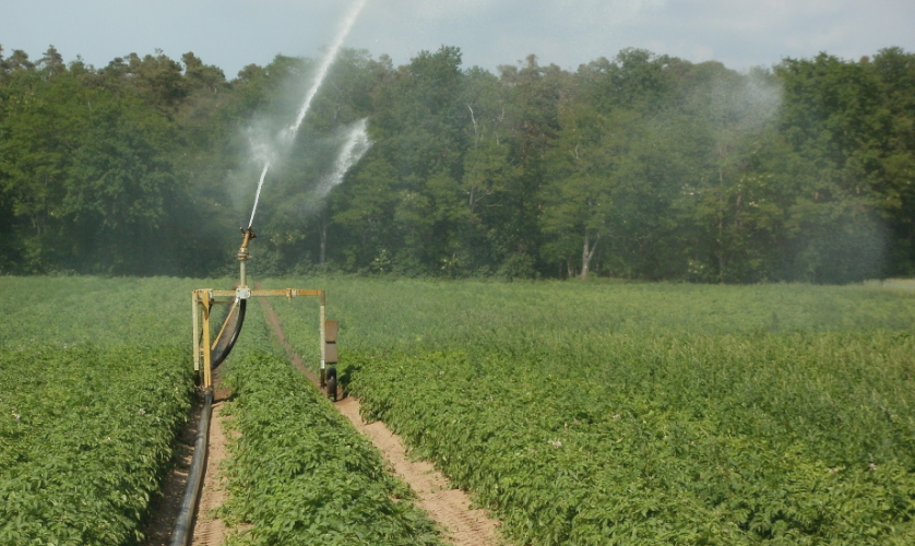 高標(biāo)準(zhǔn)農(nóng)田建設(shè)有了新標(biāo)準(zhǔn)