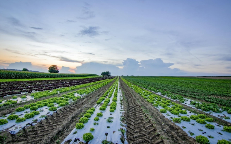 土壤污染物檢測